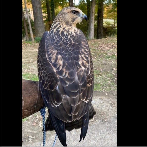 Meet your Posher, Suzanne - Picture 5 of 6